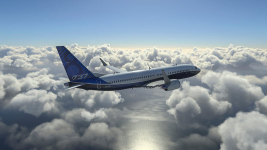 PÓSTER B737