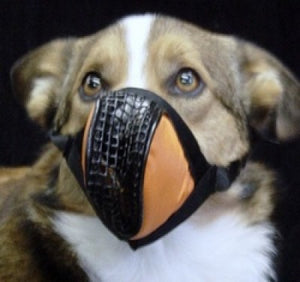 AEROX PET MASK